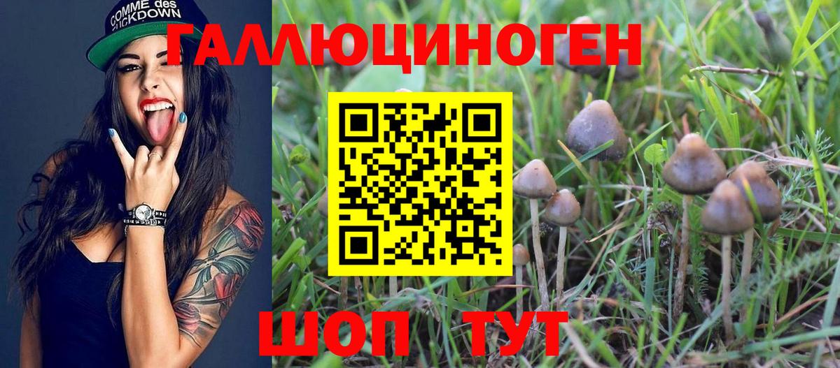 Галлюциногенные грибы мухоморы  Вход с VPN  Березники 
